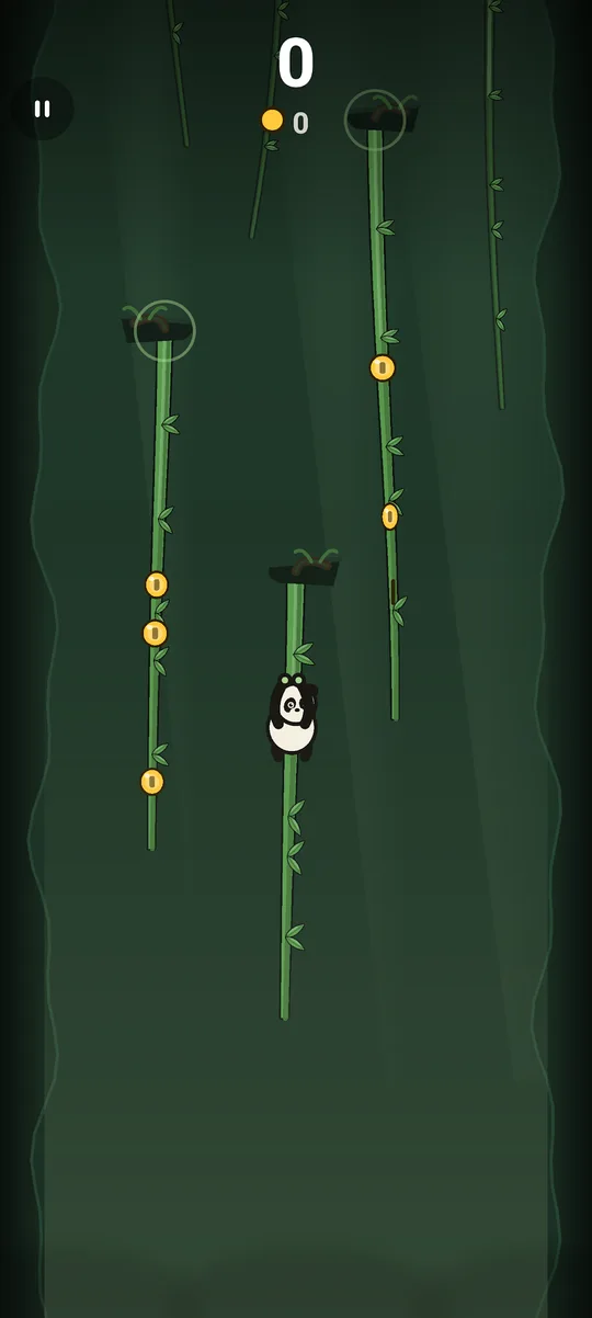 Climbing past a beetle patrolling a vine